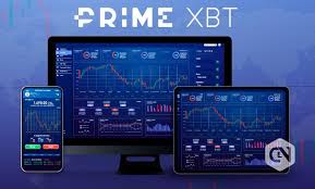 All You Need to Know About Platform PrimeXBT